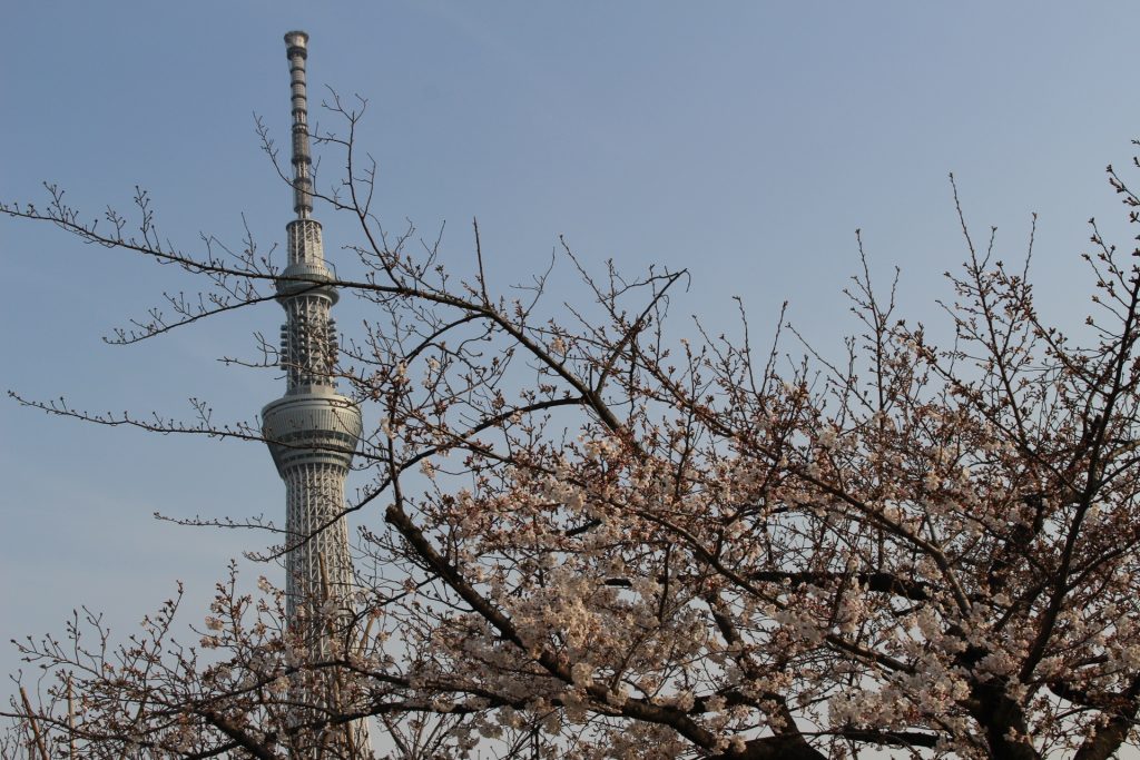 ＊桜の季節到来＊新生活の準備はリスタで！！